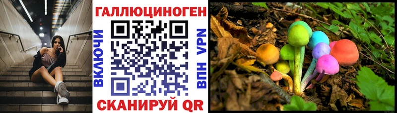 Псилоцибиновые грибы мухоморы  МЕГА как зайти  Инсар 